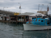 sqlcruise2013caribe-86