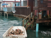 sqlcruise2013caribe-87