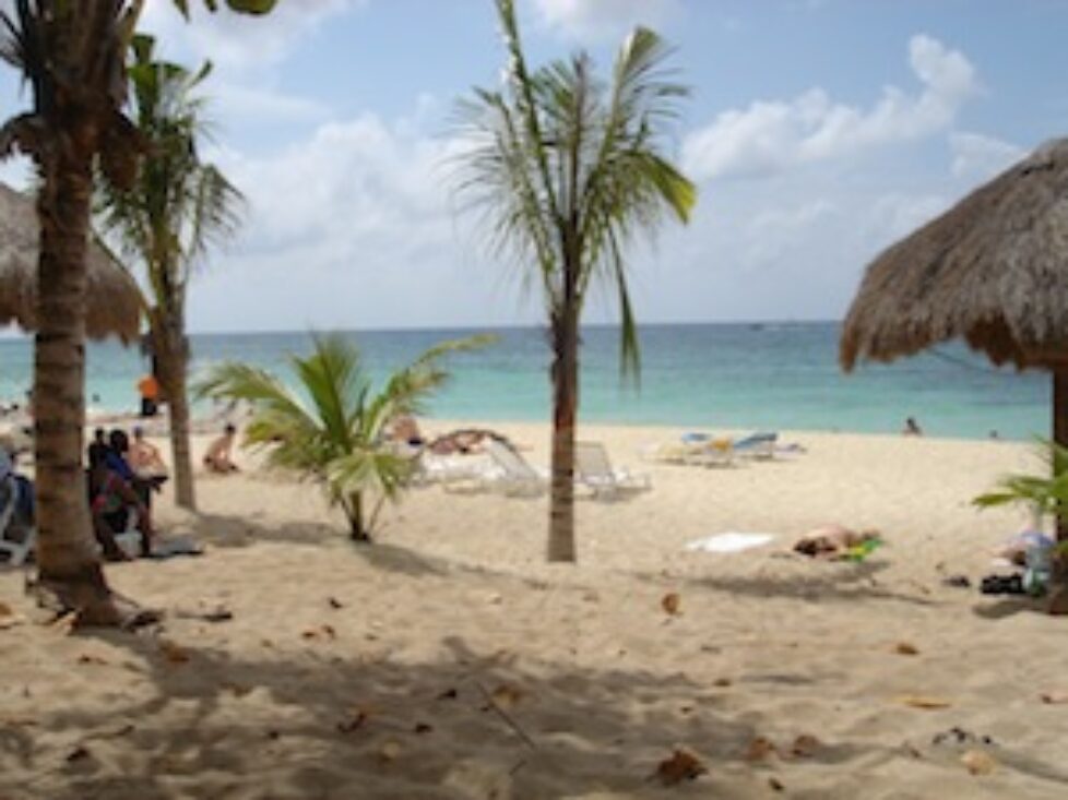 Cozumel hammocks